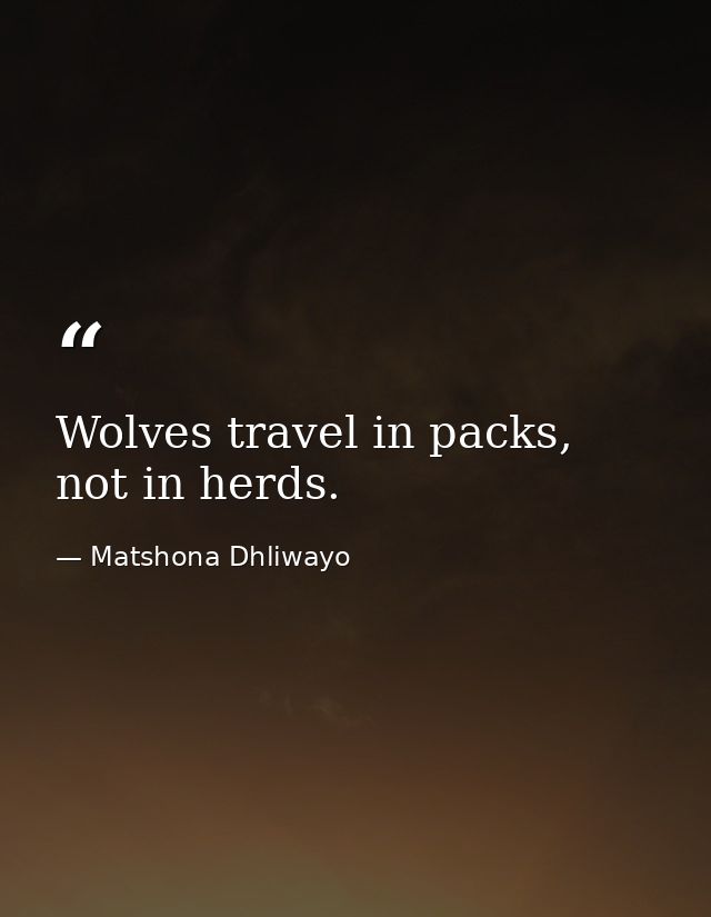 Wolves travel in packs, not in herds. — Matshona Dhliwayo