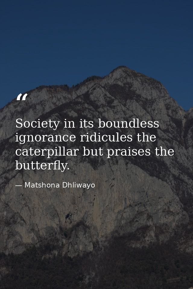 Society in its boundless ignorance ridicules the caterpillar but praises the butterfly. — Matshona Dhliwayo