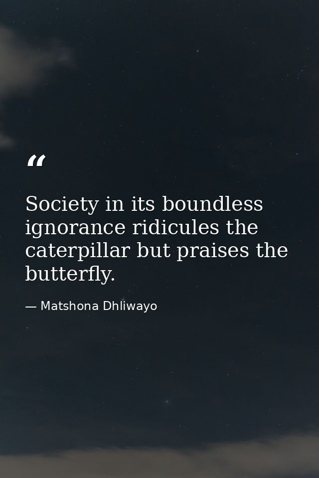 Society in its boundless ignorance ridicules the caterpillar but praises the butterfly. — Matshona Dhliwayo