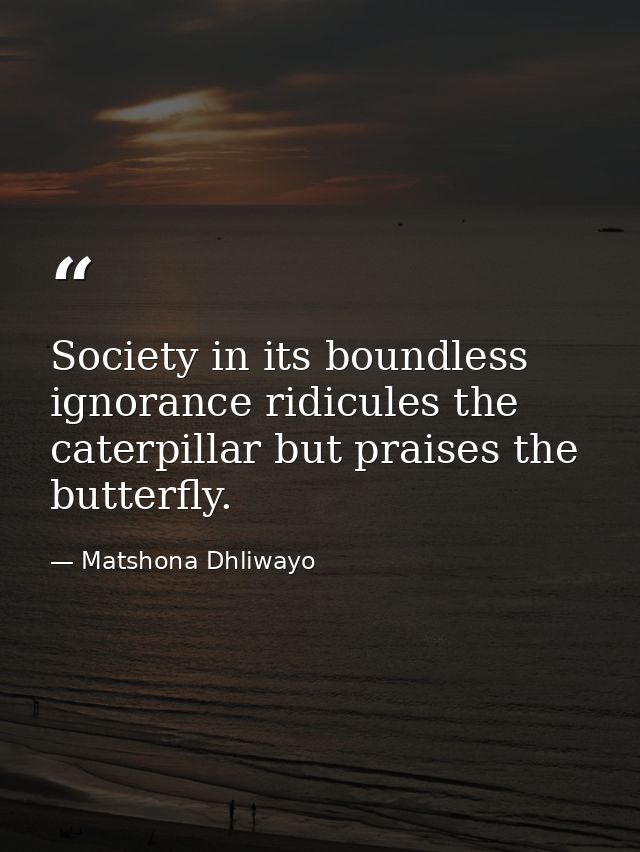 Society in its boundless ignorance ridicules the caterpillar but praises the butterfly. — Matshona Dhliwayo