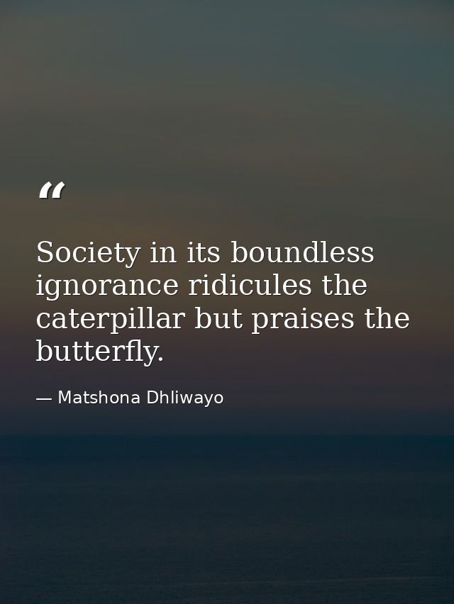Society in its boundless ignorance ridicules the caterpillar but praises the butterfly. — Matshona Dhliwayo