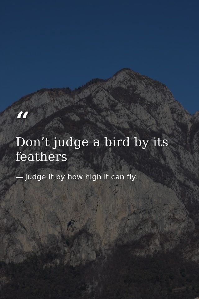 Don’t judge a bird by its feathers — judge it by how high it can fly.