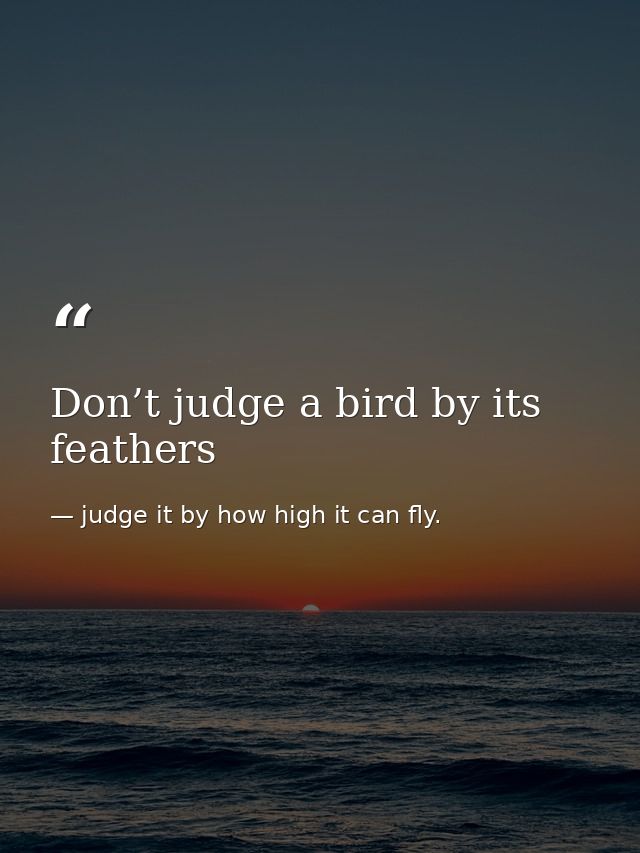 Don’t judge a bird by its feathers — judge it by how high it can fly.