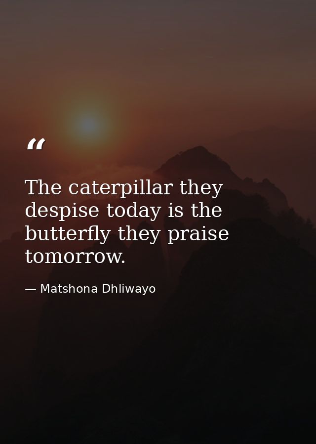 The caterpillar they despise today is the butterfly they praise tomorrow. — Matshona Dhliwayo