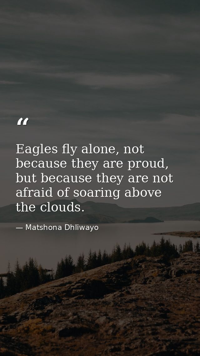 Eagles fly alone, not because they are proud, but because they are not afraid of soaring above the clouds. — Matshona Dhliwayo