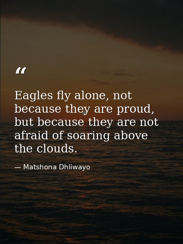 Eagles fly alone, not because they are proud, but because they are not afraid of soaring above the clouds. — Matshona Dhliwayo