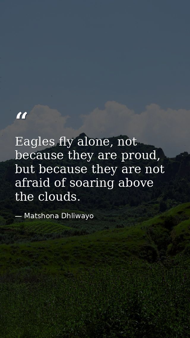 Eagles fly alone, not because they are proud, but because they are not afraid of soaring above the clouds. — Matshona Dhliwayo
