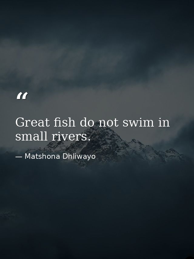 Great fish do not swim in small rivers. — Matshona Dhliwayo