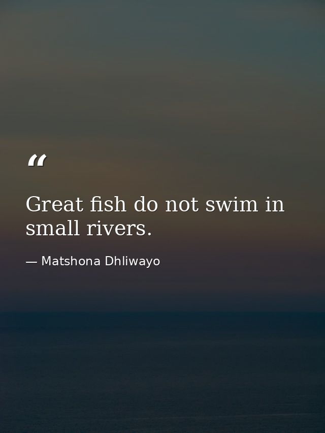 Great fish do not swim in small rivers. — Matshona Dhliwayo