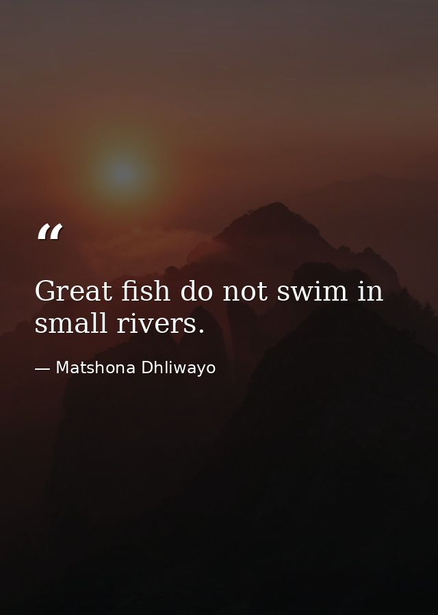 Great fish do not swim in small rivers. — Matshona Dhliwayo