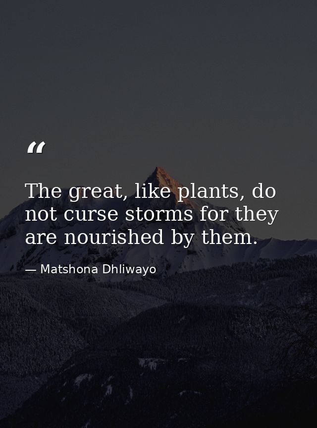 The great, like plants, do not curse storms for they are nourished by them. — Matshona Dhliwayo