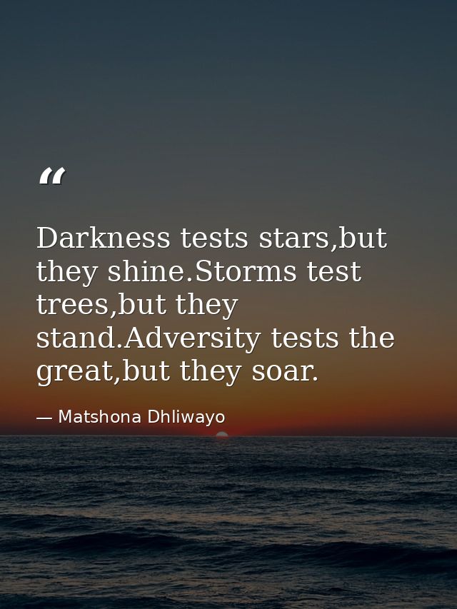 Darkness tests stars,but they shine.Storms test trees,but they stand.Adversity tests the great,but they soar. — Matshona Dhliwayo