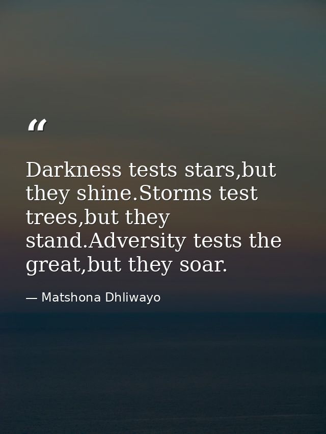 Darkness tests stars,but they shine.Storms test trees,but they stand.Adversity tests the great,but they soar. — Matshona Dhliwayo
