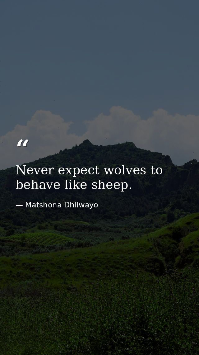 Never expect wolves to behave like sheep. — Matshona Dhliwayo