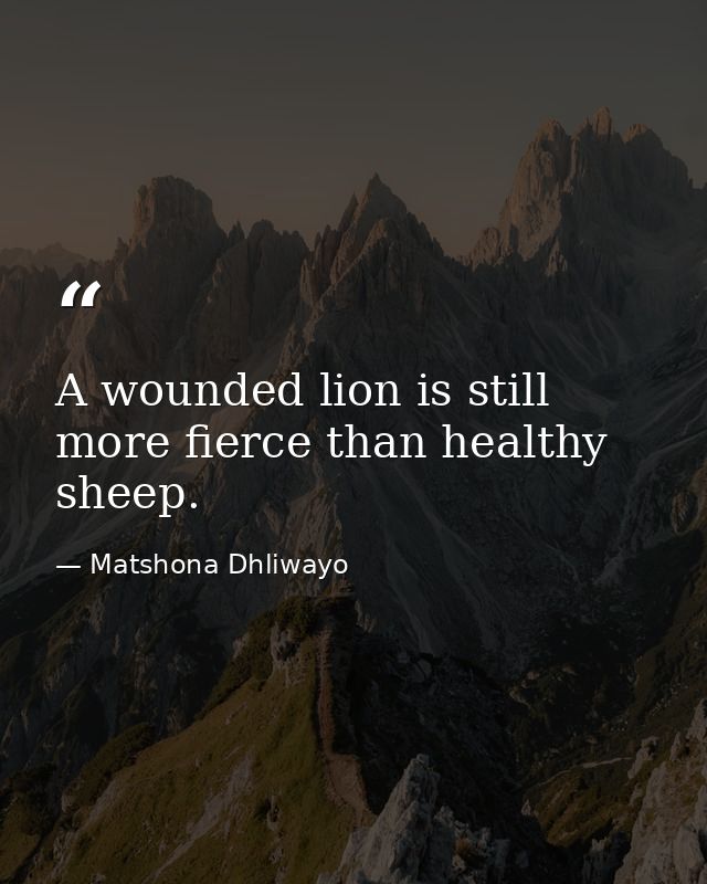 A wounded lion is still more fierce than healthy sheep. — Matshona Dhliwayo