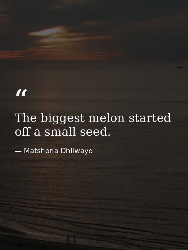 The biggest melon started off a small seed. — Matshona Dhliwayo