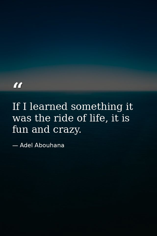 If I learned something it was the ride of life, it is fun and crazy. — Adel Abouhana