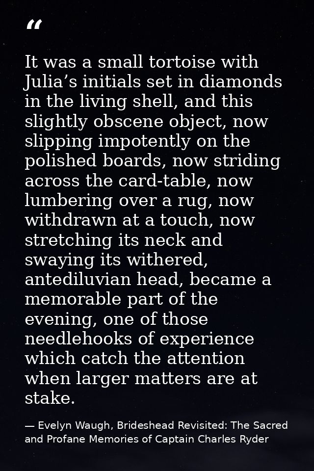 It was a small tortoise with Julia’s initials set in diamonds in the living shell, and this slightly obscene object, now — Evelyn Waugh, Brideshead Revisited: The Sacred and Profane Memories of Captain Charles Ryder