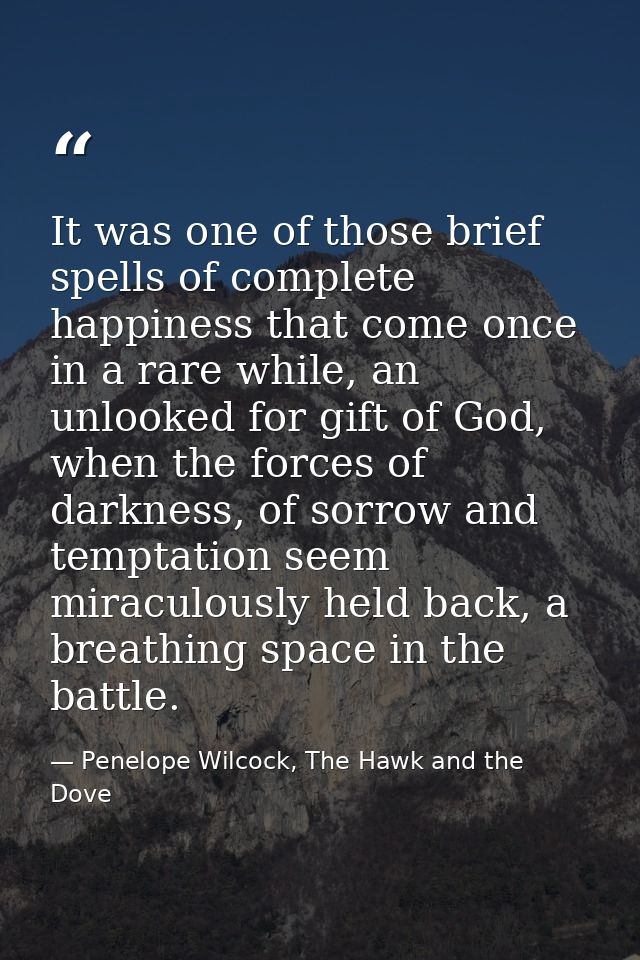 It was one of those brief spells of complete happiness that come once in a rare while, an unlooked for gift of God, when — Penelope Wilcock, The Hawk and the Dove