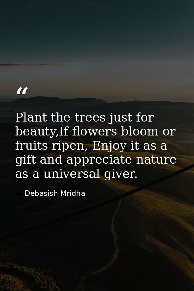 Plant the trees just for beauty,If flowers bloom or fruits ripen, Enjoy it as a gift and appreciate nature as a universa — Debasish Mridha