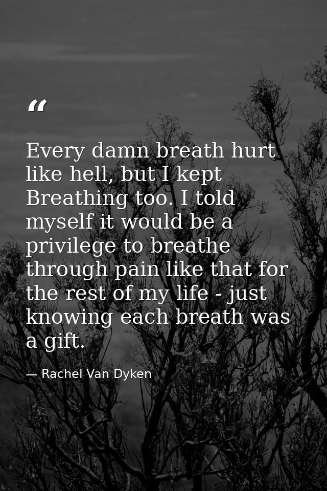 Every damn breath hurt like hell, but I kept Breathing too. I told myself it would be a privilege to breathe through pai — Rachel Van Dyken
