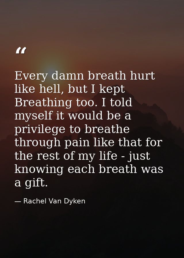 Every damn breath hurt like hell, but I kept Breathing too. I told myself it would be a privilege to breathe through pai — Rachel Van Dyken
