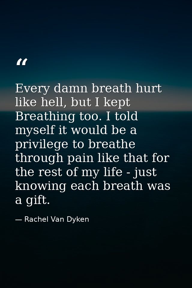 Every damn breath hurt like hell, but I kept Breathing too. I told myself it would be a privilege to breathe through pai — Rachel Van Dyken