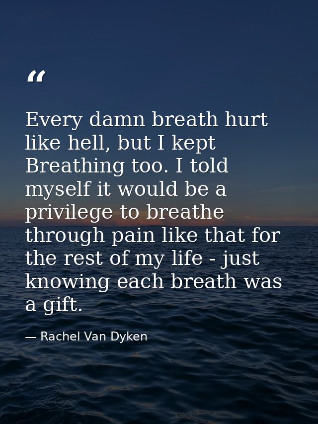 Every damn breath hurt like hell, but I kept Breathing too. I told myself it would be a privilege to breathe through pai — Rachel Van Dyken