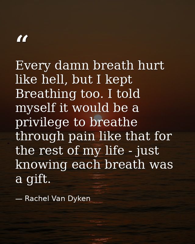 Every damn breath hurt like hell, but I kept Breathing too. I told myself it would be a privilege to breathe through pai — Rachel Van Dyken