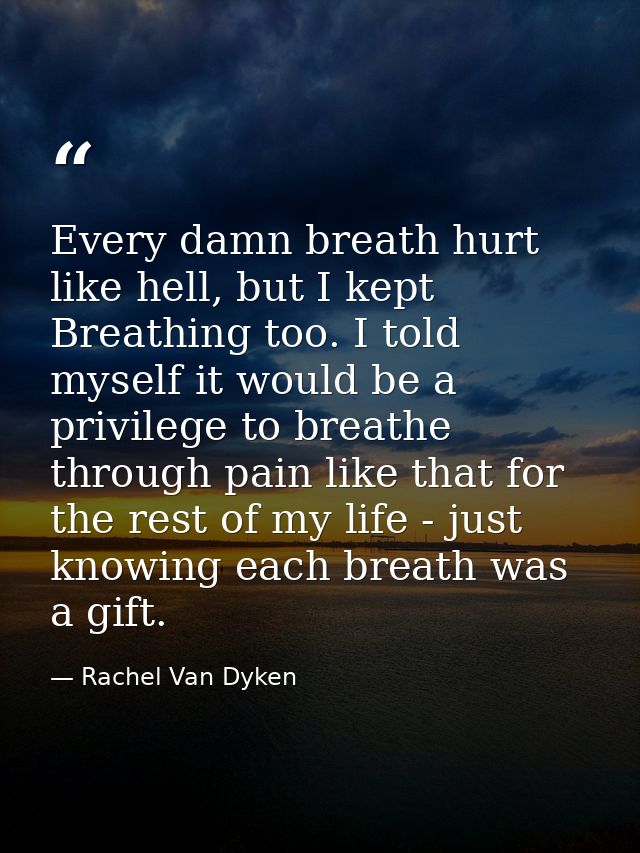 Every damn breath hurt like hell, but I kept Breathing too. I told myself it would be a privilege to breathe through pai — Rachel Van Dyken
