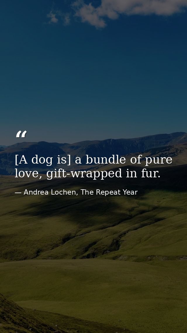 [A dog is] a bundle of pure love, gift-wrapped in fur. — Andrea Lochen, The Repeat Year