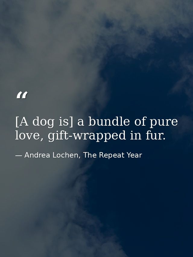 [A dog is] a bundle of pure love, gift-wrapped in fur. — Andrea Lochen, The Repeat Year