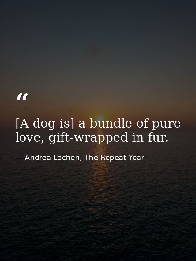 [A dog is] a bundle of pure love, gift-wrapped in fur. — Andrea Lochen, The Repeat Year
