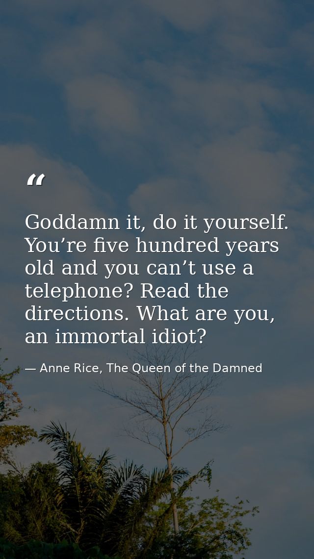 Goddamn it, do it yourself. You’re five hundred years old and you can’t use a telephone? Read the directions. What are y — Anne Rice, The Queen of the Damned