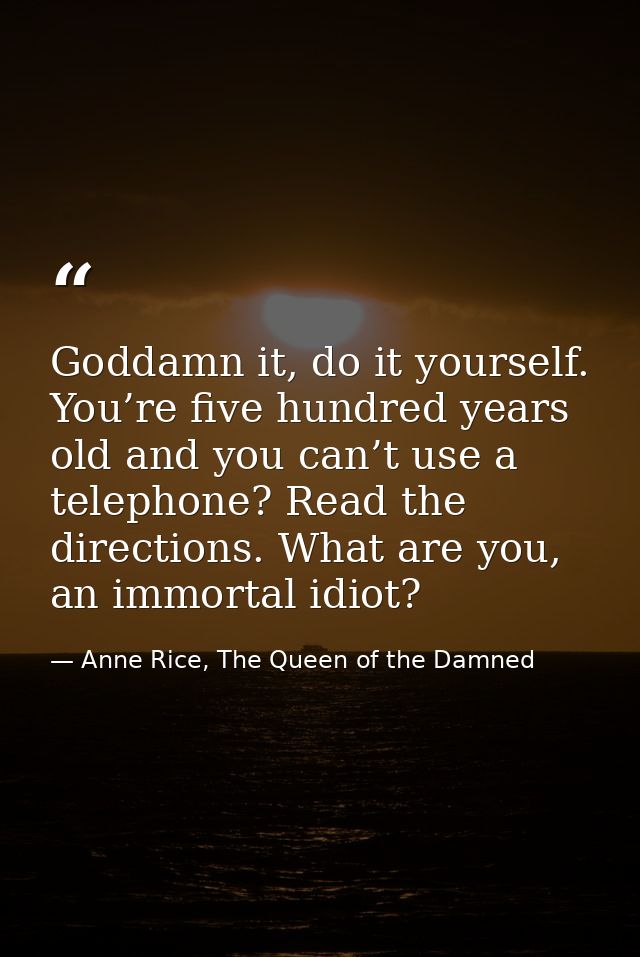 Goddamn it, do it yourself. You’re five hundred years old and you can’t use a telephone? Read the directions. What are y — Anne Rice, The Queen of the Damned
