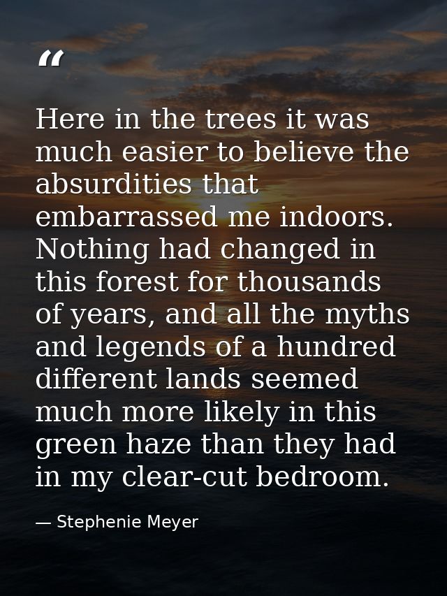Here in the trees it was much easier to believe the absurdities that embarrassed me indoors. Nothing had changed in this — Stephenie Meyer