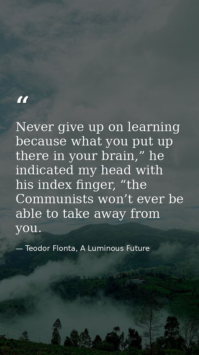 Never give up on learning because what you put up there in your brain,” he indicated my head with his index finger, “the — Teodor Flonta, A Luminous Future