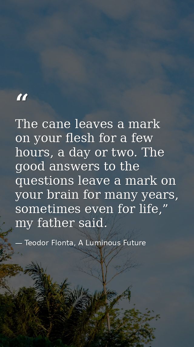The cane leaves a mark on your flesh for a few hours, a day or two. The good answers to the questions leave a mark on yo — Teodor Flonta, A Luminous Future