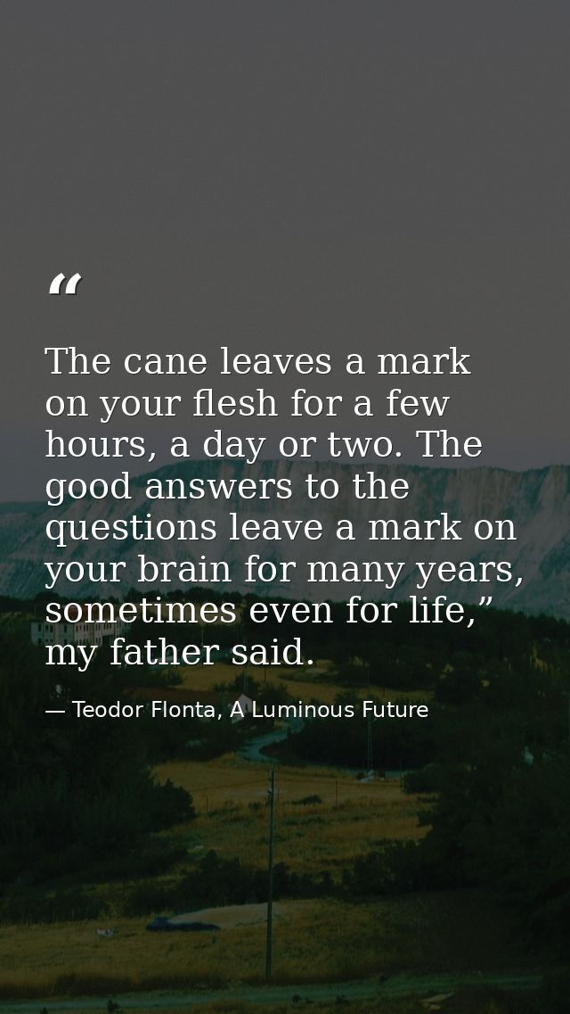 The cane leaves a mark on your flesh for a few hours, a day or two. The good answers to the questions leave a mark on yo — Teodor Flonta, A Luminous Future