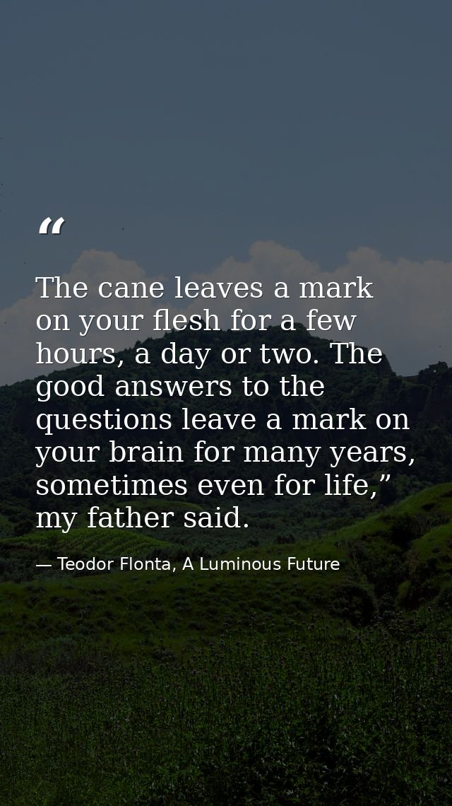 The cane leaves a mark on your flesh for a few hours, a day or two. The good answers to the questions leave a mark on yo — Teodor Flonta, A Luminous Future