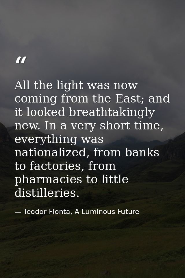 All the light was now coming from the East; and it looked breathtakingly new. In a very short time, everything was natio — Teodor Flonta, A Luminous Future