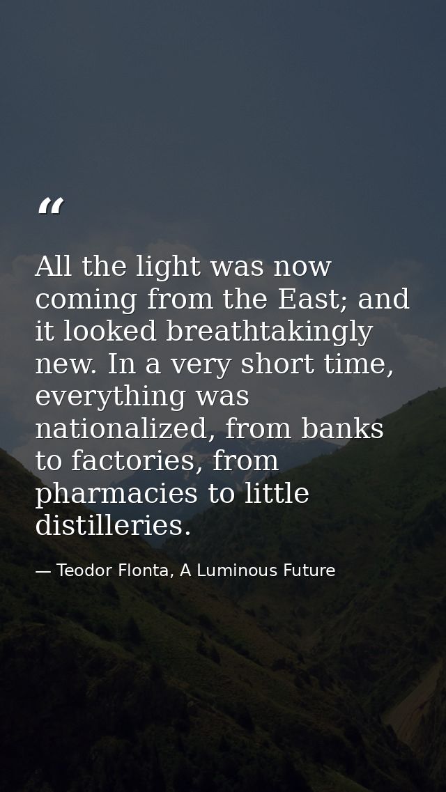 All the light was now coming from the East; and it looked breathtakingly new. In a very short time, everything was natio — Teodor Flonta, A Luminous Future