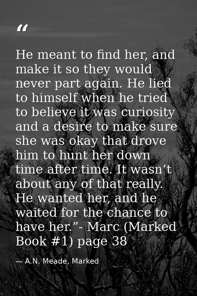 He meant to find her, and make it so they would never part again. He lied to himself when he tried to believe it was cur — A.N. Meade, Marked