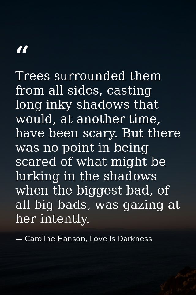 Trees surrounded them from all sides, casting long inky shadows that would, at another time, have been scary. But there  — Caroline Hanson, Love is Darkness