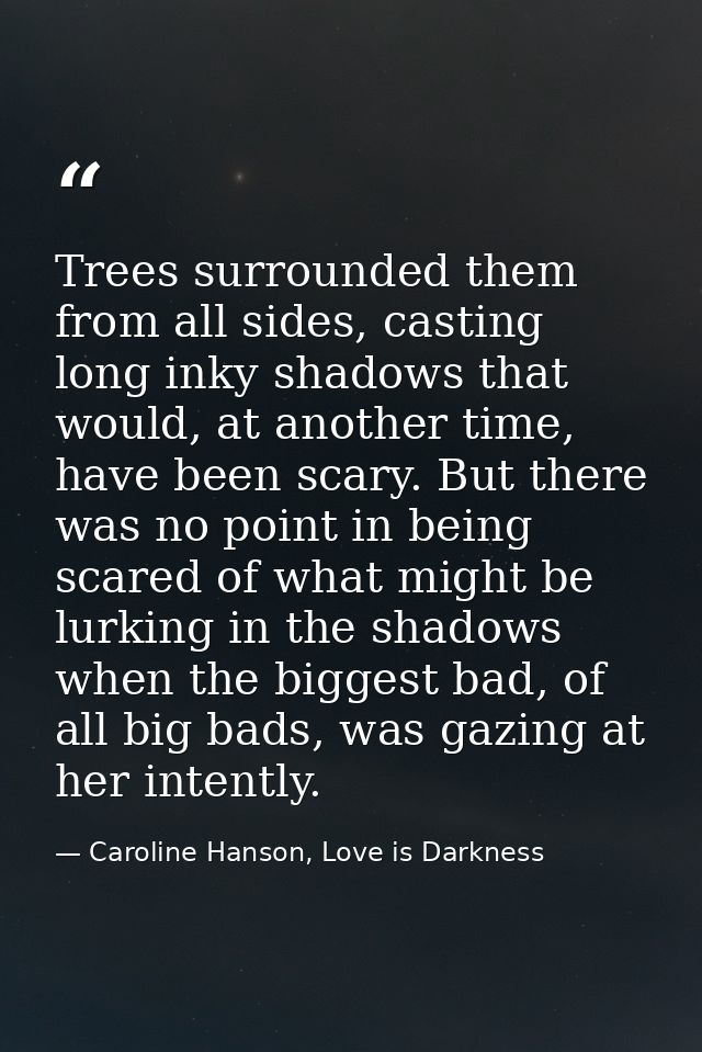 Trees surrounded them from all sides, casting long inky shadows that would, at another time, have been scary. But there  — Caroline Hanson, Love is Darkness