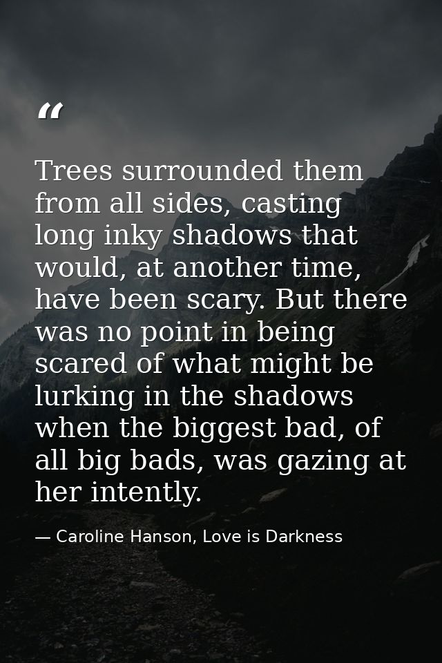 Trees surrounded them from all sides, casting long inky shadows that would, at another time, have been scary. But there  — Caroline Hanson, Love is Darkness