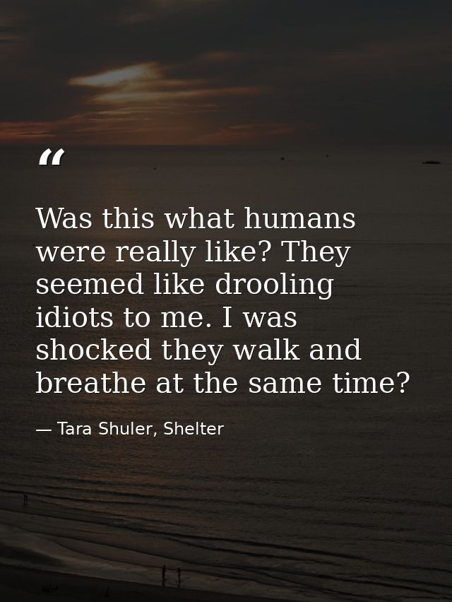 Was this what humans were really like? They seemed like drooling idiots to me. I was shocked they walk and breathe at th — Tara Shuler, Shelter