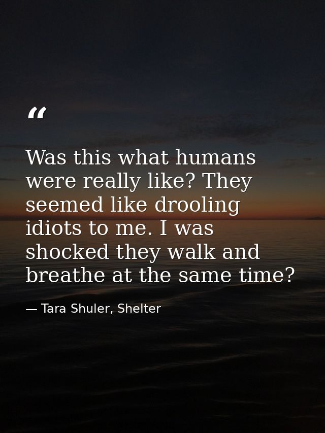 Was this what humans were really like? They seemed like drooling idiots to me. I was shocked they walk and breathe at th — Tara Shuler, Shelter