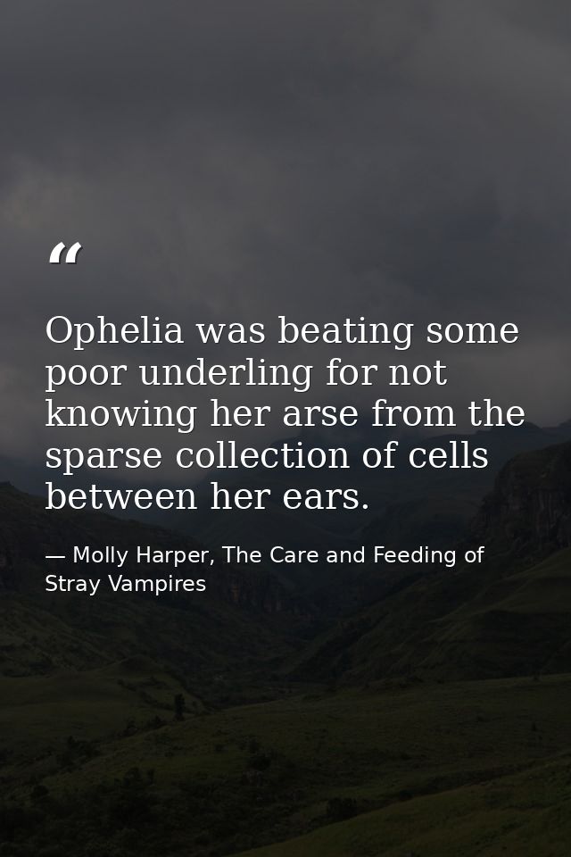 Ophelia was beating some poor underling for not knowing her arse from the sparse collection of cells between her ears. — Molly Harper, The Care and Feeding of Stray Vampires