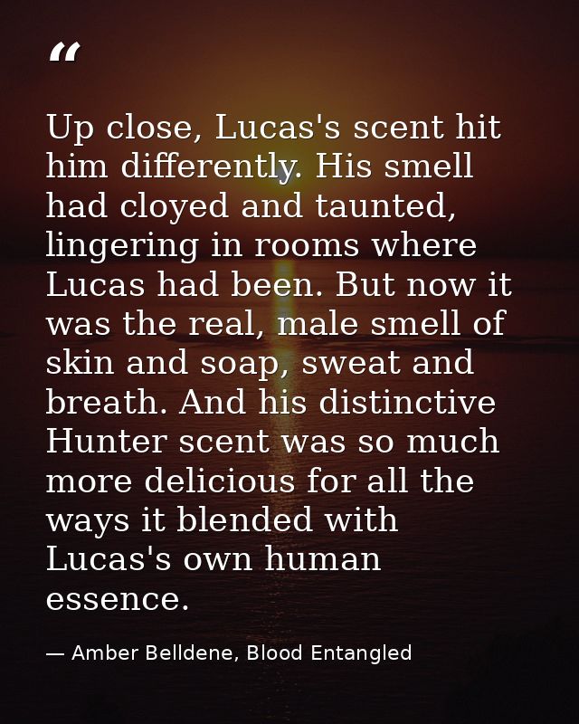 Up close, Lucas's scent hit him differently. His smell had cloyed and taunted, lingering in rooms where Lucas had been.  — Amber Belldene, Blood Entangled